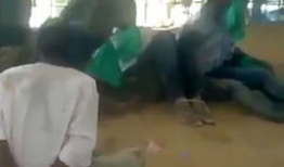 大黑逼视频,揭秘神秘现象背后的真相